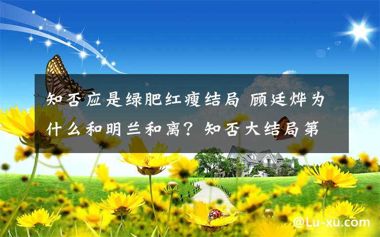 知否应是绿肥红瘦结局 顾廷烨为什么和明兰和离？知否大结局第73集齐小公爷信二叔无罪