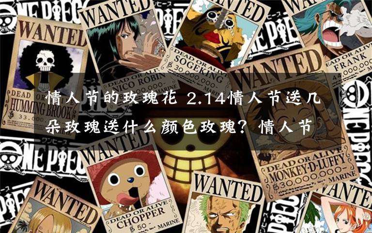 情人节的玫瑰花 2.14情人节送几朵玫瑰送什么颜色玫瑰？情人节送玫瑰花的花语大全