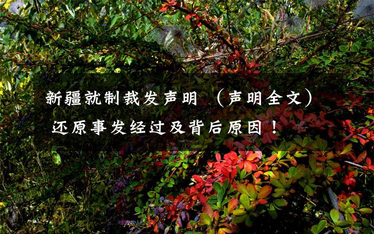 新疆就制裁发声明 （声明全文） 还原事发经过及背后原因！