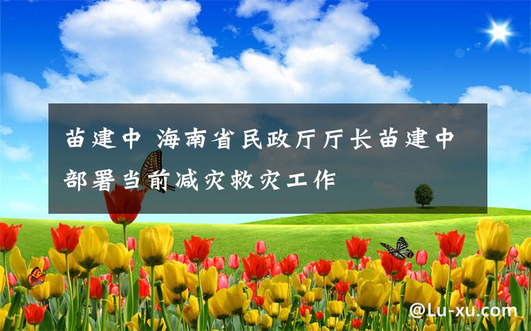 苗建中 海南省民政厅厅长苗建中部署当前减灾救灾工作