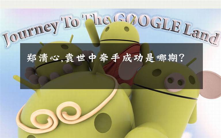 郑清心,袁世中牵手成功是哪期？