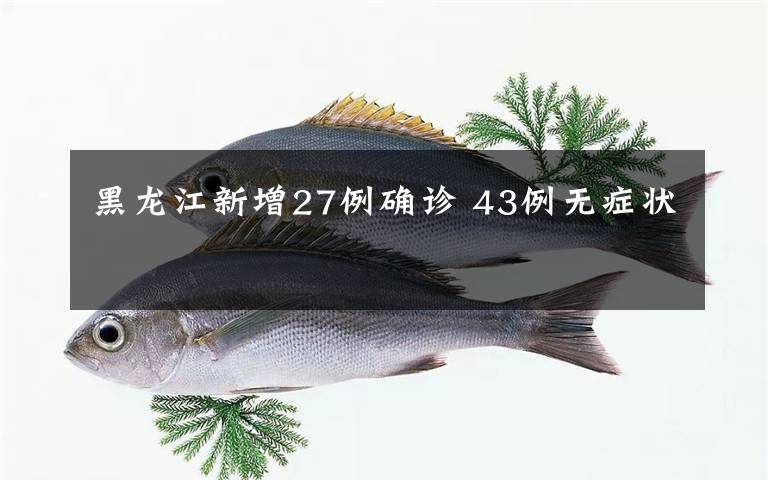 黑龙江新增27例确诊 43例无症状