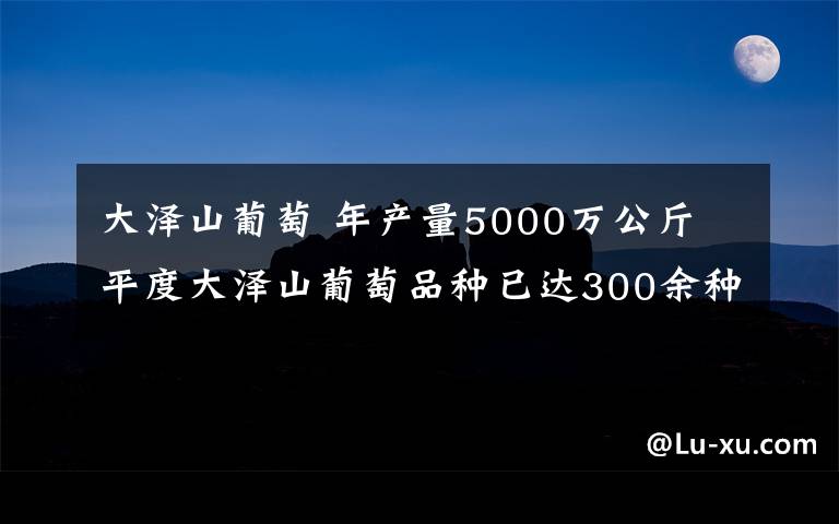 大泽山葡萄 年产量5000万公斤 平度大泽山葡萄品种已达300余种