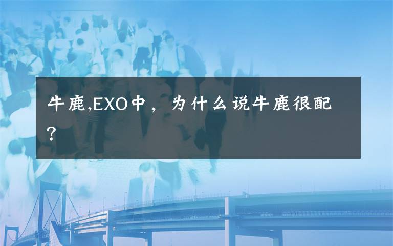 牛鹿,EXO中，为什么说牛鹿很配？