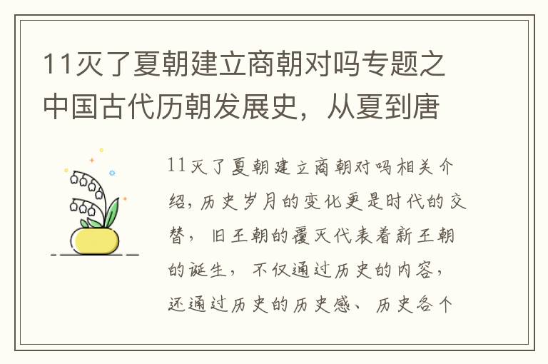 11灭了夏朝建立商朝对吗专题之中国古代历朝发展史，从夏到唐分崩离析，究竟是何原因走向灭亡？