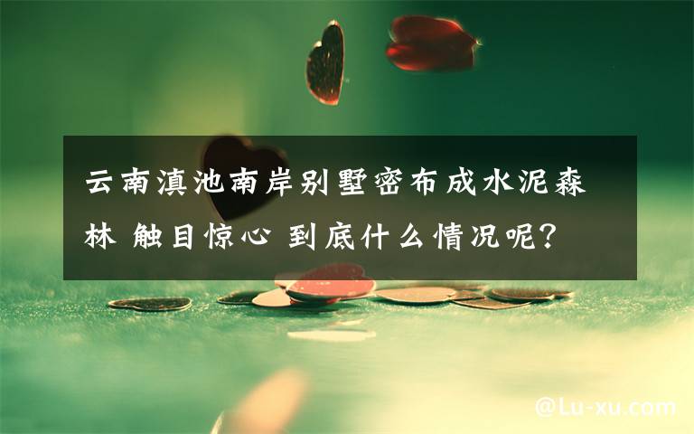 云南滇池南岸别墅密布成水泥森林 触目惊心 到底什么情况呢？