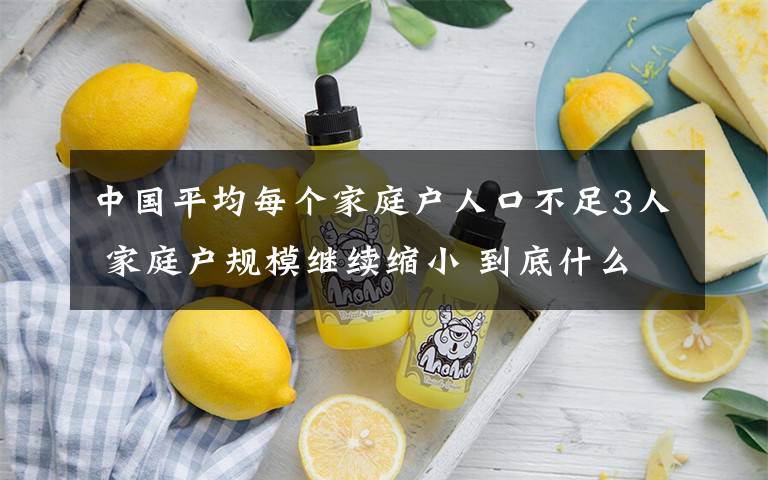 中国平均每个家庭户人口不足3人 家庭户规模继续缩小 到底什么情况呢？