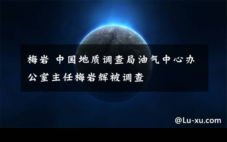 梅岩 中国地质调查局油气中心办公室主任梅岩辉被调查