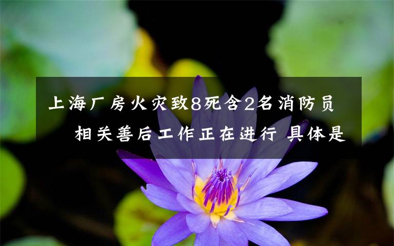 上海厂房火灾致8死含2名消防员  相关善后工作正在进行 具体是什么情况？