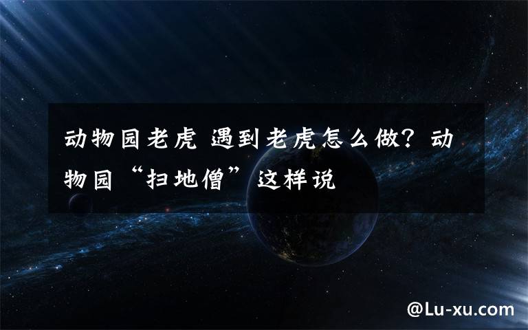动物园老虎 遇到老虎怎么做？动物园“扫地僧”这样说