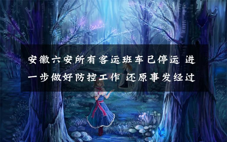 安徽六安所有客运班车已停运 进一步做好防控工作 还原事发经过及背后真相！
