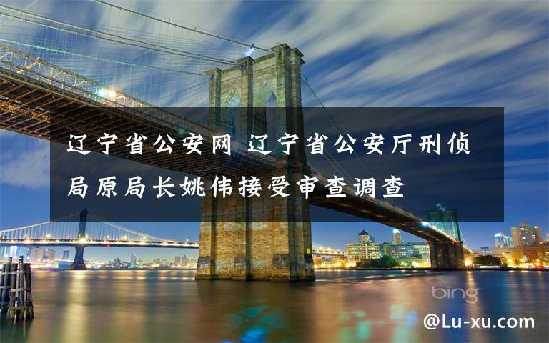 辽宁省公安网 辽宁省公安厅刑侦局原局长姚伟接受审查调查