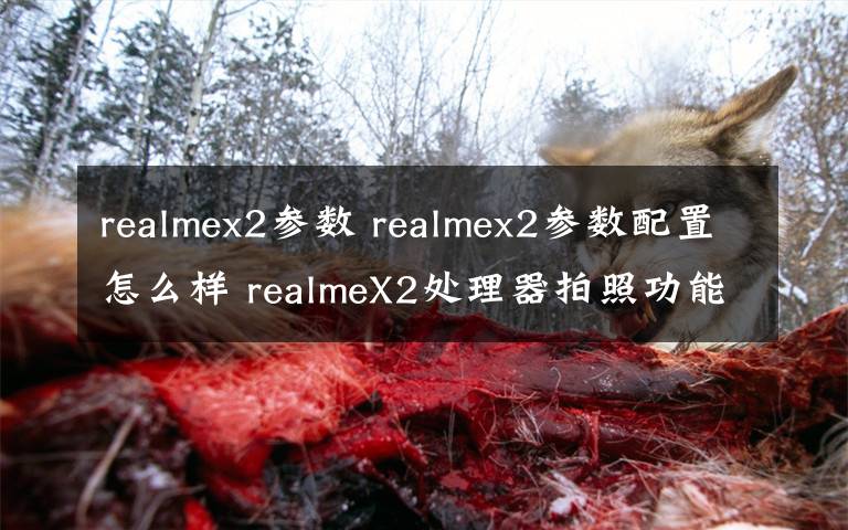 realmex2参数 realmex2参数配置怎么样 realmeX2处理器拍照功能介绍