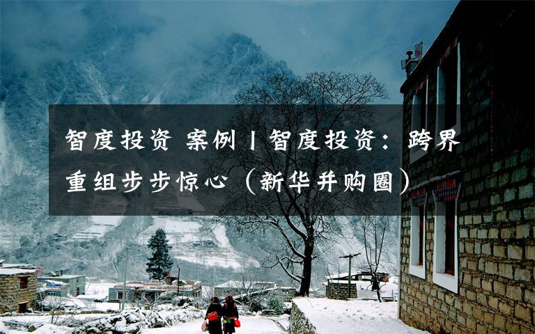 智度投资 案例丨智度投资：跨界重组步步惊心（新华并购圈）