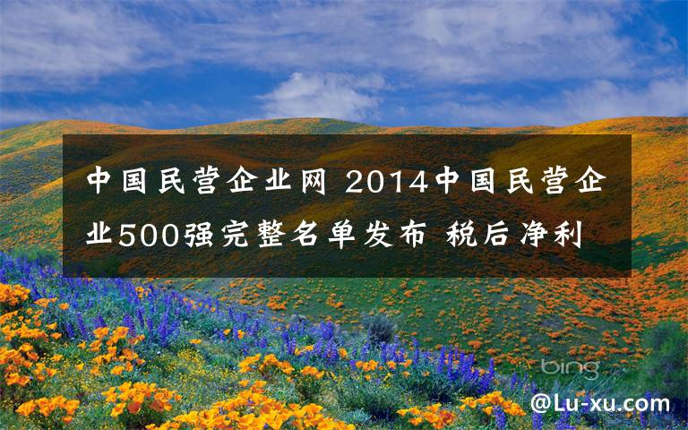 中国民营企业网 2014中国民营企业500强完整名单发布 税后净利润4977.36亿