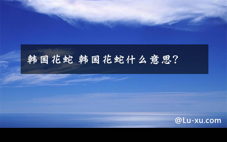 韩国花蛇 韩国花蛇什么意思？