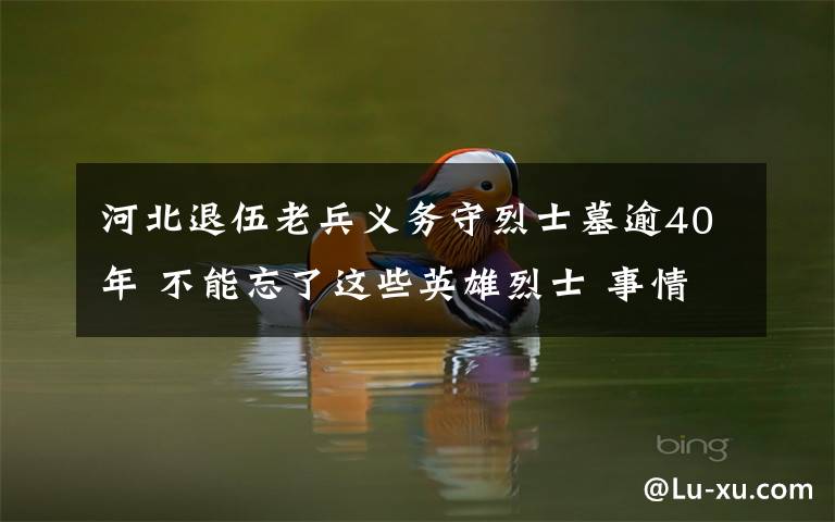 河北退伍老兵义务守烈士墓逾40年 不能忘了这些英雄烈士 事情经过真相揭秘！