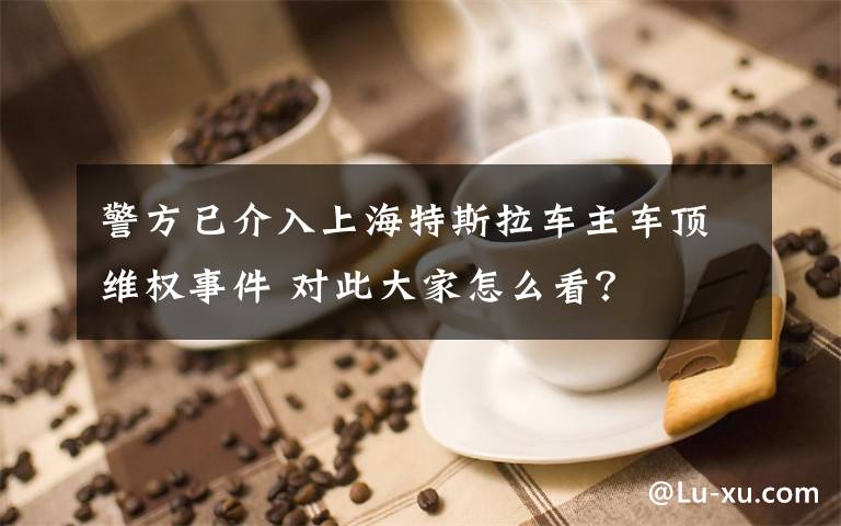警方已介入上海特斯拉车主车顶维权事件 对此大家怎么看？