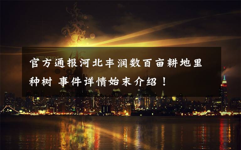 官方通报河北丰润数百亩耕地里种树 事件详情始末介绍！