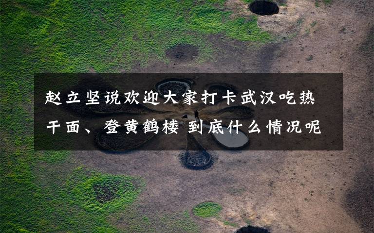 赵立坚说欢迎大家打卡武汉吃热干面、登黄鹤楼 到底什么情况呢？