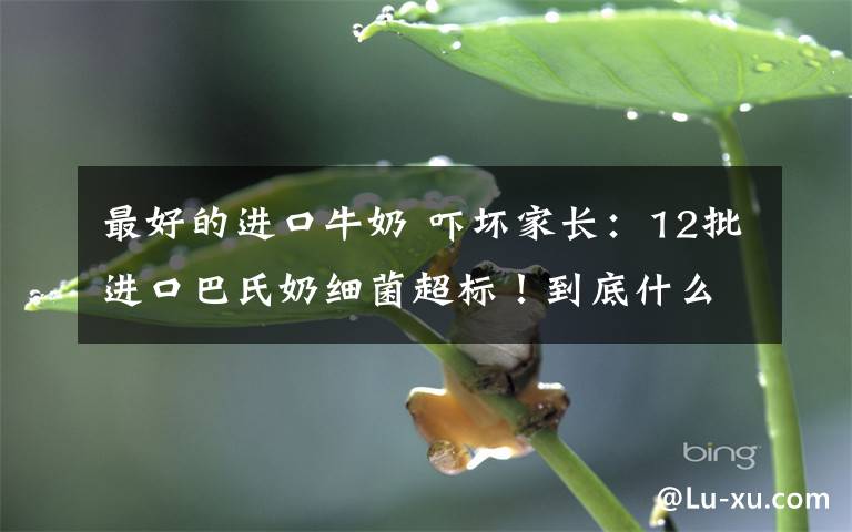 最好的进口牛奶 吓坏家长：12批进口巴氏奶细菌超标！到底什么样的牛奶更可靠……