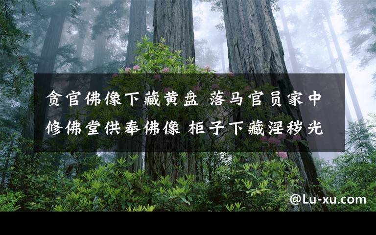 贪官佛像下藏黄盘 落马官员家中修佛堂供奉佛像 柜子下藏淫秽光盘