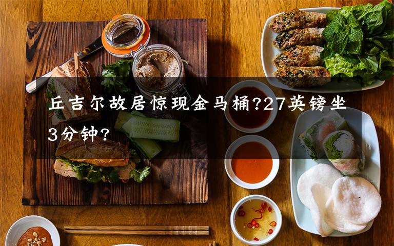 丘吉尔故居惊现金马桶?27英镑坐3分钟?