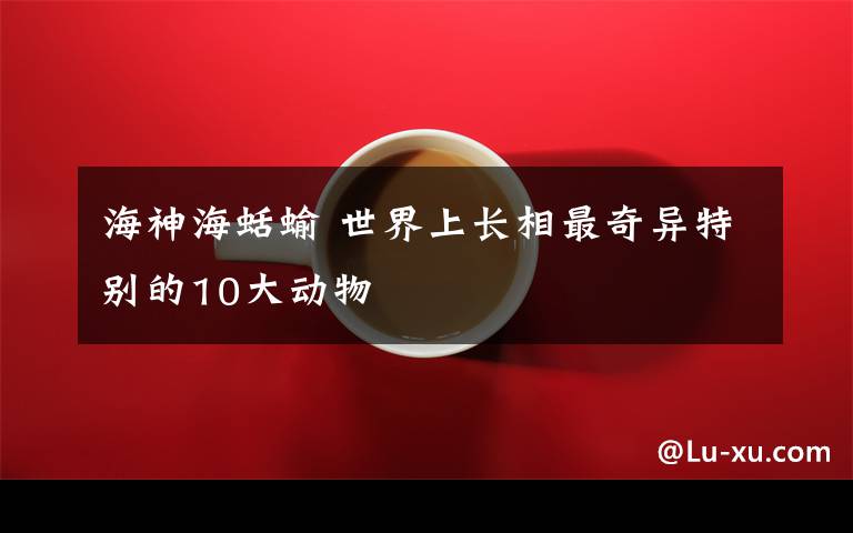 海神海蛞蝓 世界上长相最奇异特别的10大动物