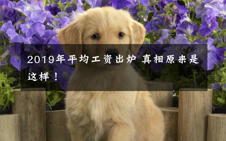 2019年平均工资出炉 真相原来是这样！