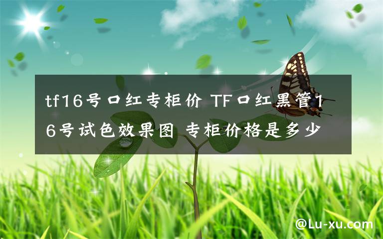 tf16号口红专柜价 TF口红黑管16号试色效果图 专柜价格是多少钱