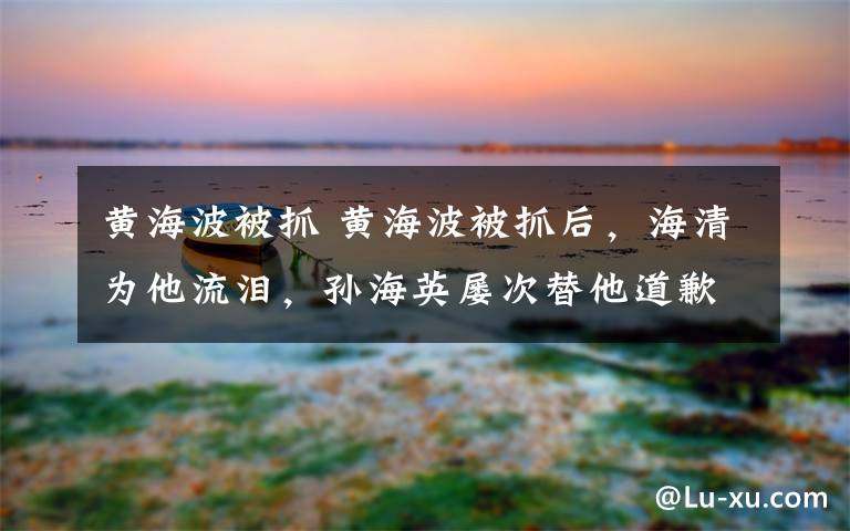 黄海波被抓 黄海波被抓后，海清为他流泪，孙海英屡次替他道歉，如今复出