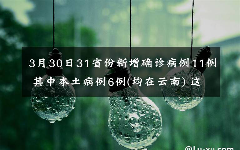 3月30日31省份新增确诊病例11例 其中本土病例6例(均在云南) 这意味着什么?