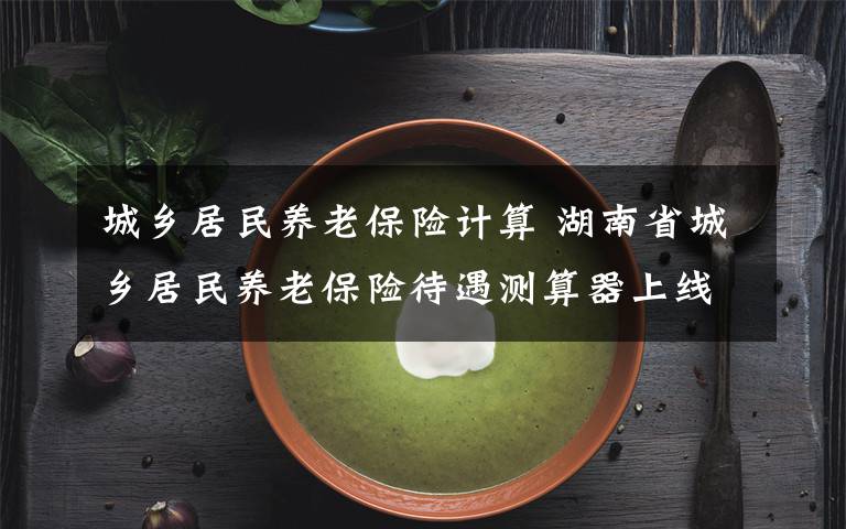 城乡居民养老保险计算 湖南省城乡居民养老保险待遇测算器上线