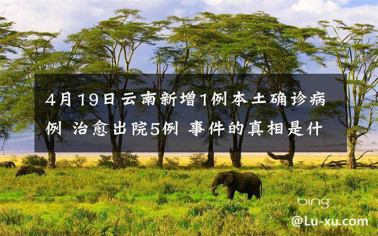 4月19日云南新增1例本土确诊病例 治愈出院5例 事件的真相是什么？