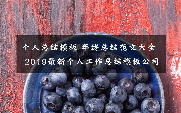 个人总结模板 年终总结范文大全 2019最新个人工作总结模板公司个人总结开头