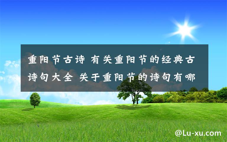 重阳节古诗 有关重阳节的经典古诗句大全 关于重阳节的诗句有哪些？