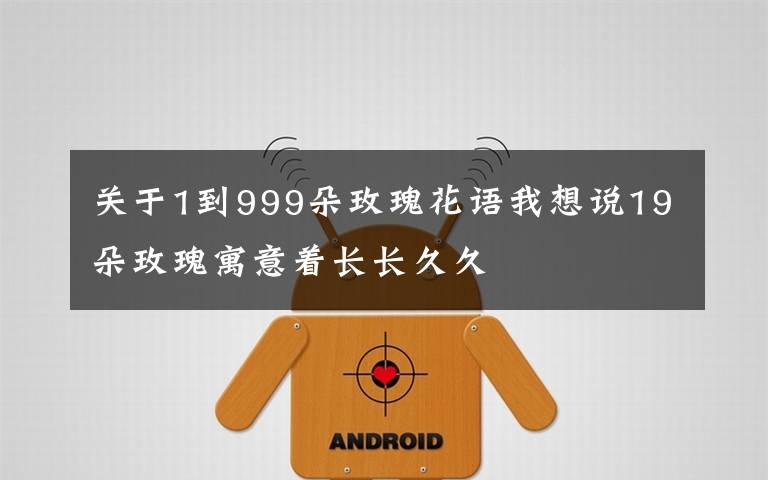 关于1到999朵玫瑰花语我想说19朵玫瑰寓意着长长久久