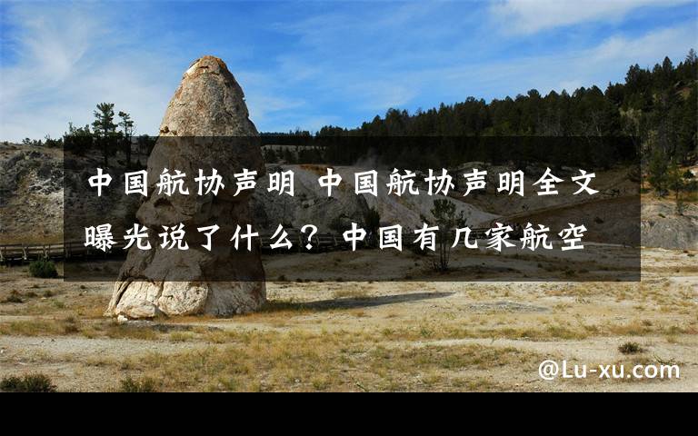 中国航协声明 中国航协声明全文曝光说了什么？中国有几家航空公司向波音索赔原因