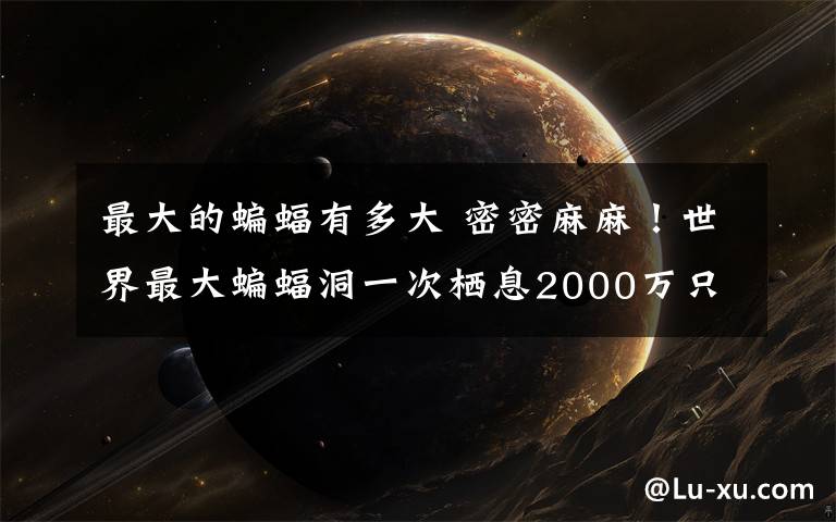 最大的蝙蝠有多大 密密麻麻！世界最大蝙蝠洞一次栖息2000万只蝙蝠