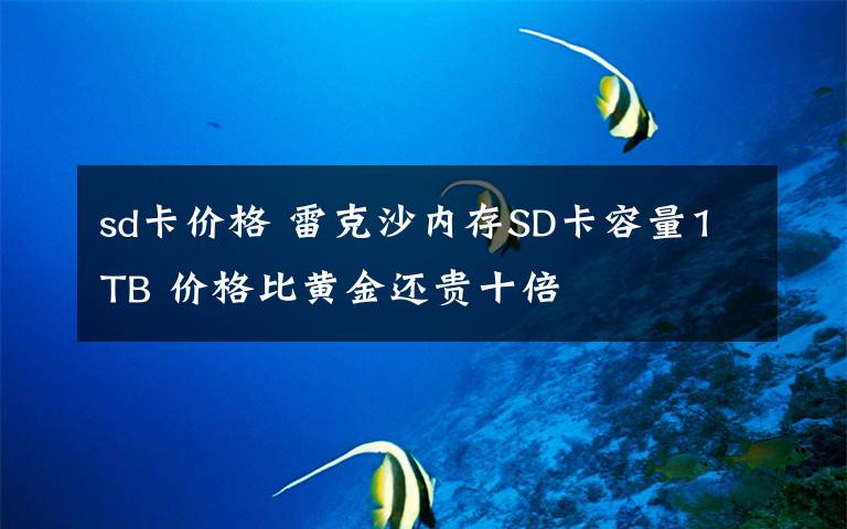 sd卡价格 雷克沙内存SD卡容量1TB 价格比黄金还贵十倍