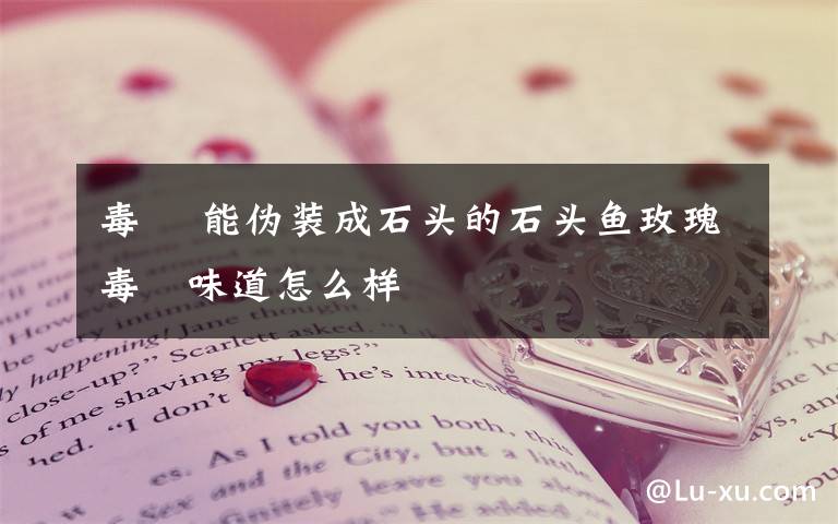 毒鲉 能伪装成石头的石头鱼玫瑰毒鲉味道怎么样