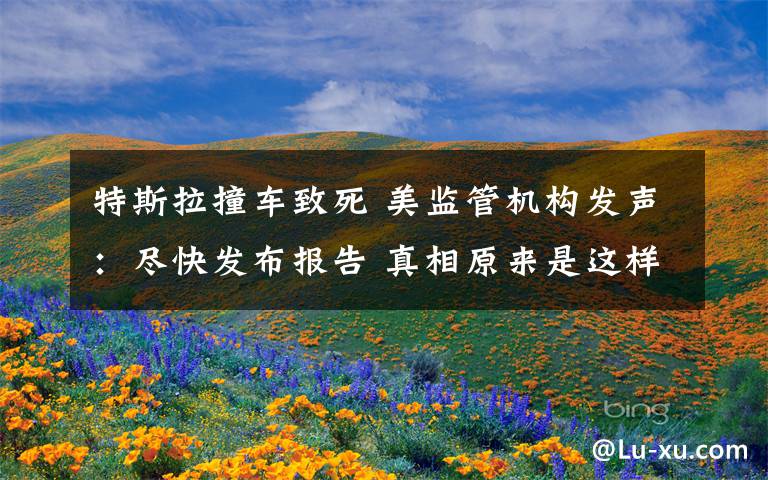 特斯拉撞车致死 美监管机构发声：尽快发布报告 真相原来是这样！