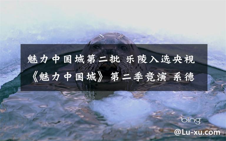 魅力中国城第二批 乐陵入选央视《魅力中国城》第二季竞演 系德州唯一