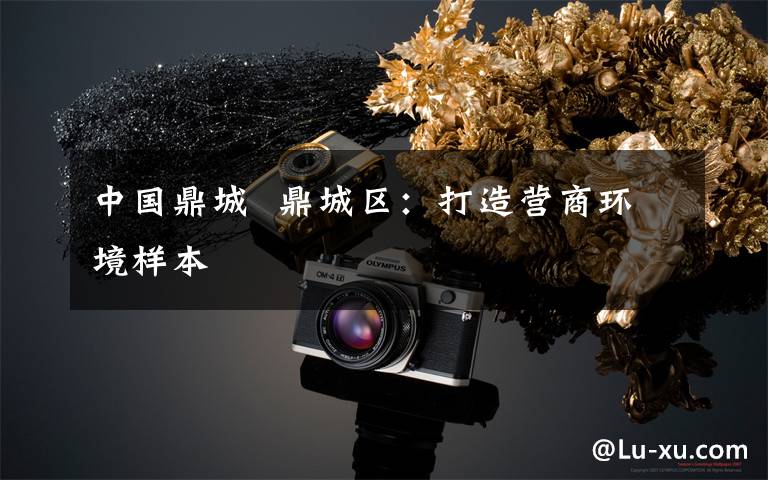 中国鼎城  鼎城区：打造营商环境样本