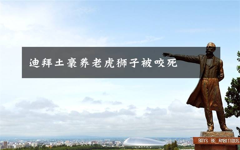 迪拜土豪养老虎狮子被咬死