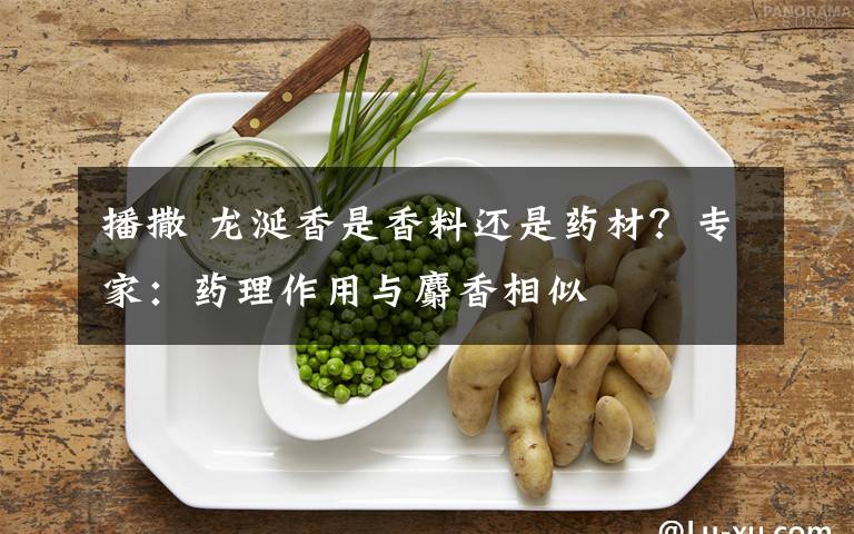 播撒 龙涎香是香料还是药材？专家：药理作用与麝香相似