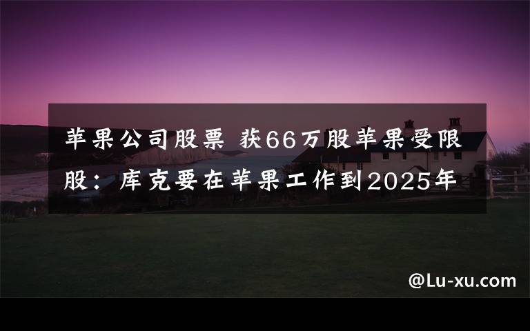 苹果公司股票 获66万股苹果受限股：库克要在苹果工作到2025年