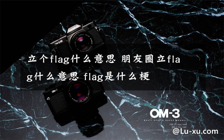 立个flag什么意思 朋友圈立flag什么意思 flag是什么梗