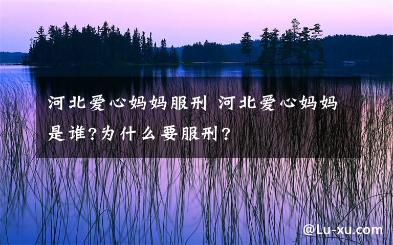 河北爱心妈妈服刑 河北爱心妈妈是谁?为什么要服刑?