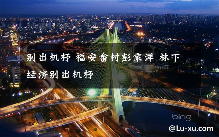 别出机杼 福安畲村彭家洋 林下经济别出机杼